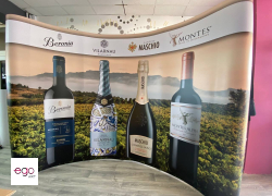 scinaka-popup-plus-magnetic-łukowa