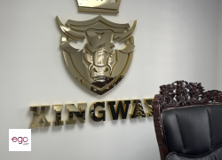 logo-3D-z-licem-złotym-lustrzanym