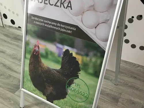 Potykacz Slim OWZ z reklamą świeżych jaj