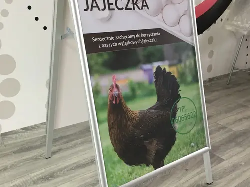 Potykacz Slim OWZ — widok ekspozycji pod kątem