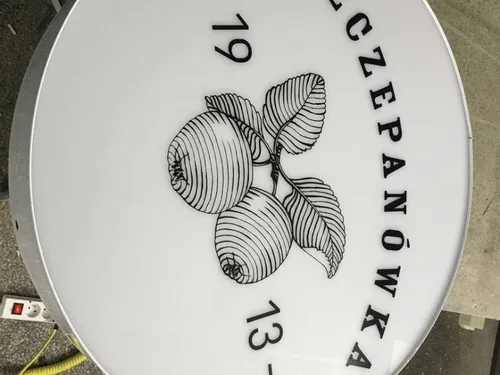 Okrągły kaseton Szczepanówka — detal grafiki jabłek